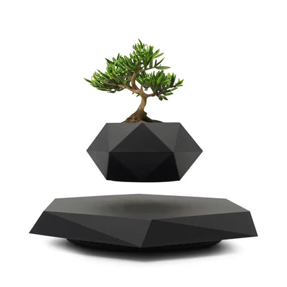 Plante en lévitation - Launchify